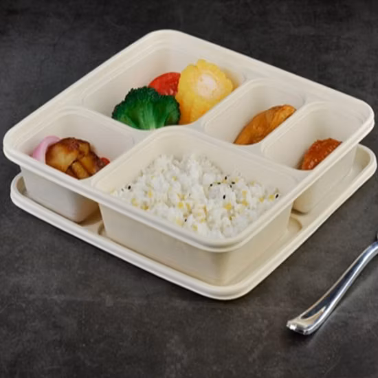 8 インチ 3 コンパートメントバルク食品用食事準備コンテナ 1 コンパートメント